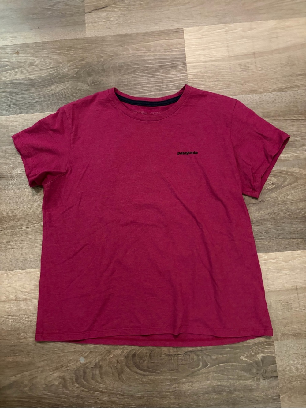 Patagonia T shirt